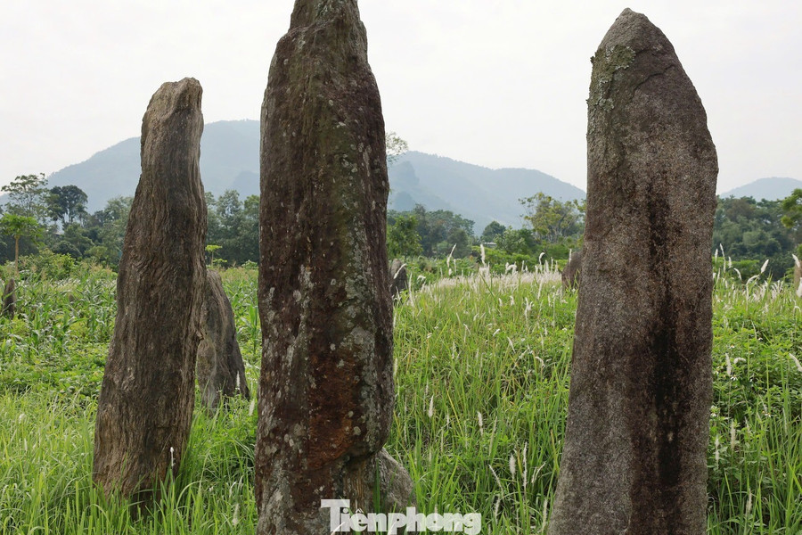 Chính quyền xã Kim Bôi xác định Đống Thếch là báu vật khảo cổ vô giá, cung cấp những bằng chứng khoa học quý về đời sống văn hóa, tín ngưỡng và tục mai táng của người Mường cổ, đặc biệt là tầng lớp quý tộc họ Đinh. tp-17.jpg