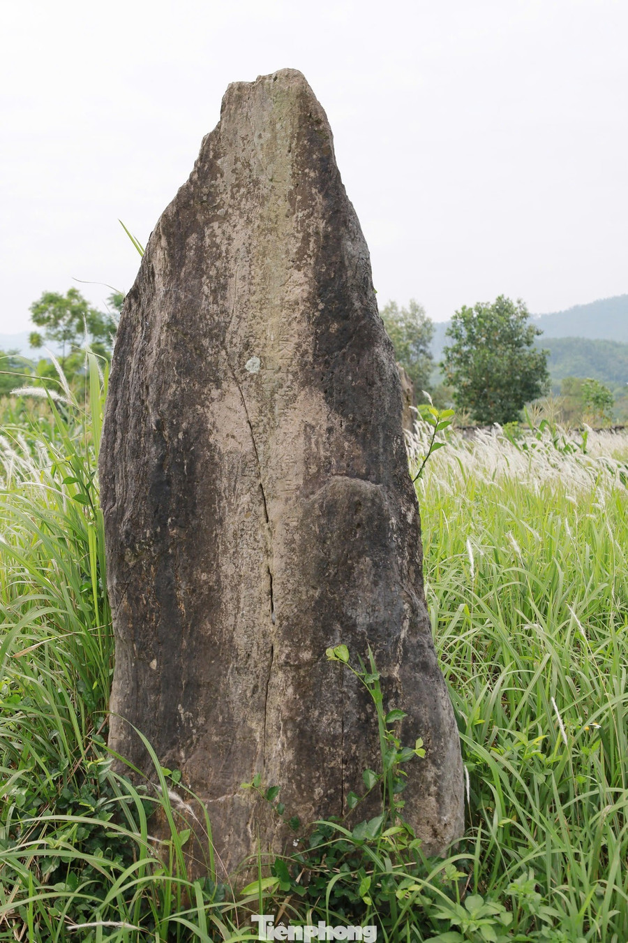 Trải qua 400 năm, khu mộ đá Đống Thếch vẫn sừng sững giữa mây trời xứ Mường. Những phiến đá phủ rêu phong, những dòng chữ mờ dần theo năm tháng không chỉ là dấu tích của một dòng họ từng hiển hách, mà còn là chứng nhân lịch sử, ghi lại dấu ấn của một thời kỳ hưng thịnh trong văn hóa Mường. tp-15.jpg