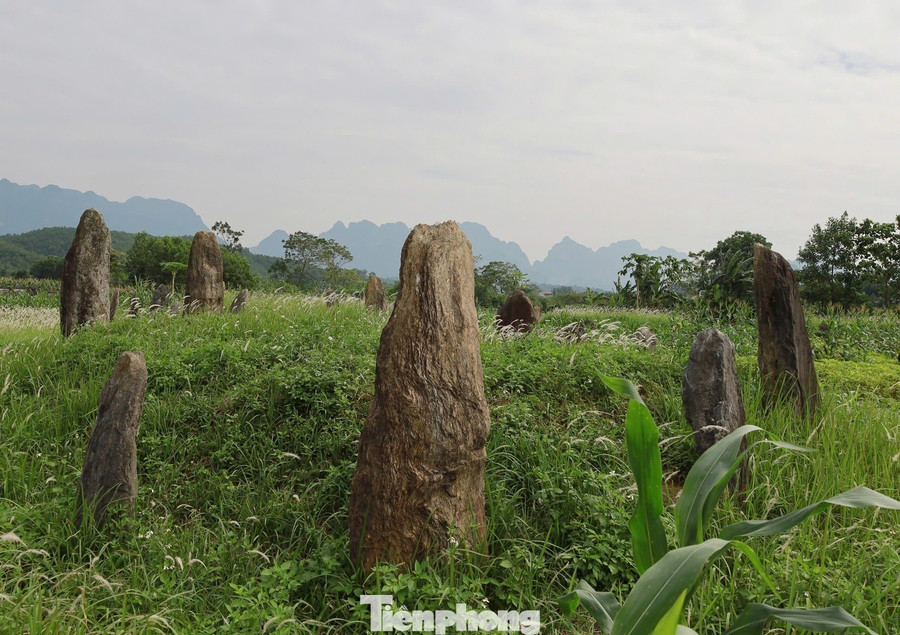 Bà Diện cho hay cụ Đinh Công Kỷ có công giúp vua Lê dẹp loạn ở vùng Tây Bắc. Nhờ lập nhiều chiến công hiển hách, cụ được phong tước Chưởng vệ đề đốc Uy quận công, đồng thời được triều đình giao quyền cai quản và thế tập vùng Mường Động. tp-8.jpg