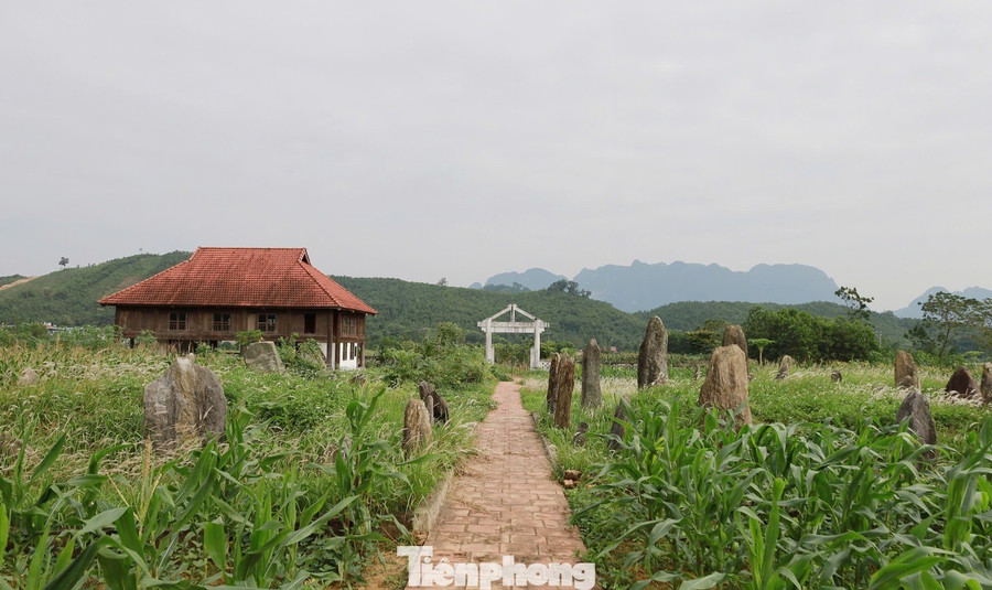Bà Diện cho hay theo lời kể của các bậc cao niên và tài liệu cổ, dòng họ Đinh có công khai lập và cai quản cả vùng Mường Động rộng lớn. Người sáng lập họ là cụ Đinh Như Lệnh, nhưng người đưa danh tiếng dòng họ lên đỉnh cao quyền lực chính là cụ Đinh Công Kỷ. tp-5.jpg