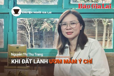 Chuyện Người Gia Lai số 30: Khi đất lành ươm mầm ý chí