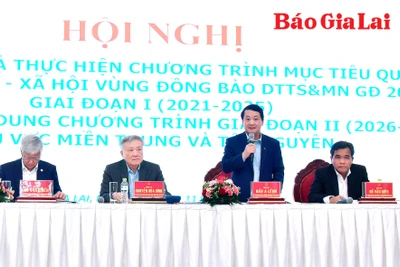 Đẩy mạnh các giải pháp phát triển bền vững vùng đồng bào dân tộc thiểu số 