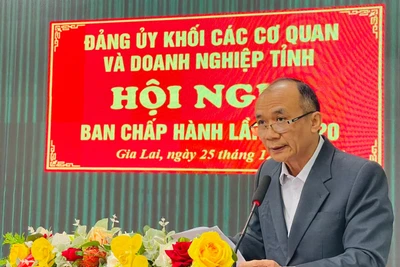 20 tổ chức cơ sở Đảng đạt tiêu chuẩn “Hoàn thành xuất sắc nhiệm vụ” tiêu biểu năm 2024