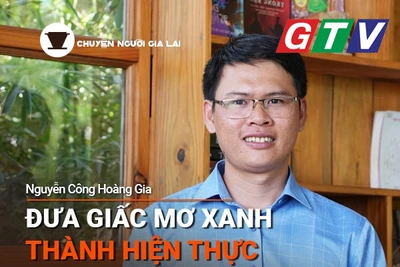 Chuyện Người Gia Lai số 41: Người trẻ đưa “giấc mơ xanh” thành hiện thực