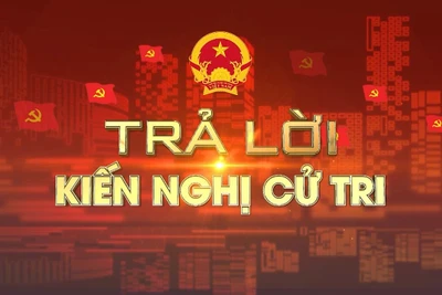 Ủy ban nhân dân tỉnh trả lời kiến nghị của cử tri huyện Kbang, Đak Đoa, Đak Pơ và thị xã An Khê