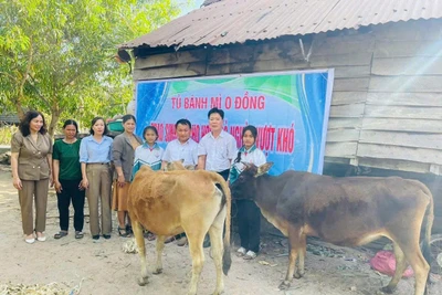 Xóa nhà tạm-Kiến tạo tương lai - Kỳ cuối: Thắp sáng niềm tin, gieo mầm hy vọng
