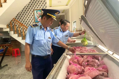 Gia Lai: Phát hiện hơn 4 tấn thịt heo không rõ nguồn gốc, xuất xứ
