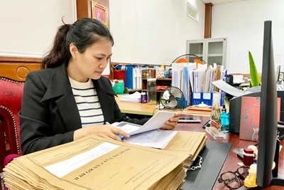 Gia Lai: Tăng cường quản lý công tác văn thư, lưu trữ trong quá trình sắp xếp tổ chức bộ máy
