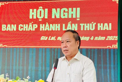 Hội nghị Ban Chấp hành lần thứ hai Đảng bộ các cơ quan Đảng tỉnh Gia Lai