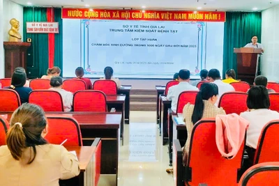 Gia Lai tập huấn chăm sóc dinh dưỡng trong 1.000 ngày đầu đời cho trẻ
