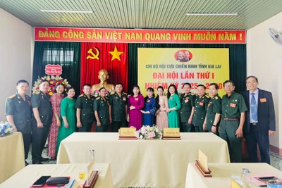 Phấn đấu hàng năm tỷ lệ hộ hội viên cựu chiến binh nghèo giảm 1-1,5%