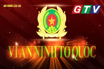 Chuyên mục An ninh Gia Lai 28-6-2025