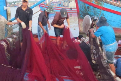 Tình người miền biển: Ấm tình nơi đầu sóng ngọn gió
