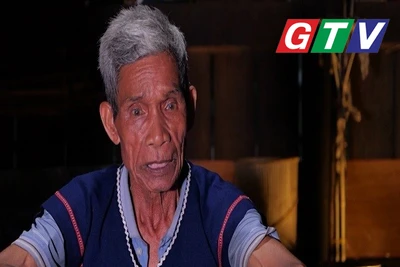 Cây đại thụ ở làng Đăk Giang