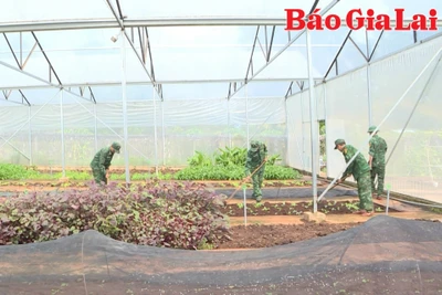 Đồn Biên phòng Cửa khẩu Quốc tế Lệ Thanh: Sôi nổi các hoạt động thi đua chào mừng Kỷ niệm 50 năm ngày truyền thống đơn vị