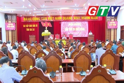 Ban Chấp hành Đảng bộ tỉnh Gia Lai tổ chức Hội nghị lần thứ 20 (mở rộng)