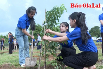 Khi cộng đồng cùng vun những mầm xanh