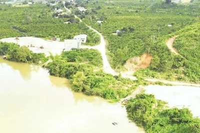 Tăng cường kiểm soát, ổn định giá cát tại Đắk Nông