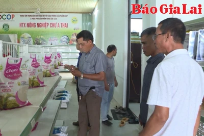 Nâng cao hiệu quả hoạt động cho hợp tác xã