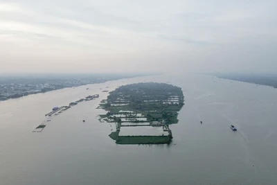 Nổi, chìm văn hoá Cù lao