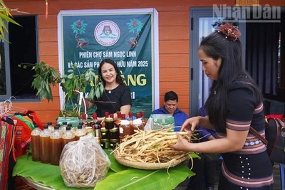 Vượt khó vươn lên từ dược liệu và bản sắc
