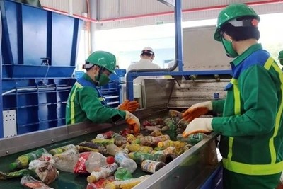 Quy Nhơn hướng tới đô thị không rác thải nhựa