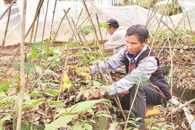 Khẳng định giá trị văn hóa đặc sắc của đại ngàn Ngọc Linh