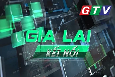Bản tin Gia Lai kết nối ngày 13-6-2025