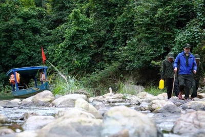 'Niêm phong' kho báu giữa đại ngàn
