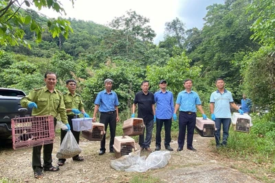 Đưa muông thú về lại với rừng