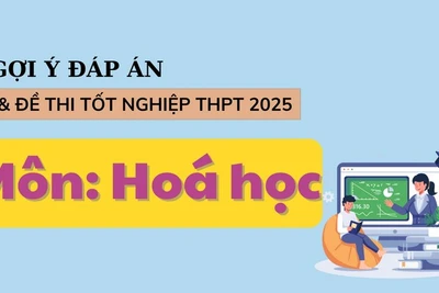 Đáp án đề thi môn Hoá học tốt nghiệp THPT 2025 tất cả mã đề