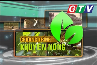 Chuyên mục Khuyến nông 4-6-2025