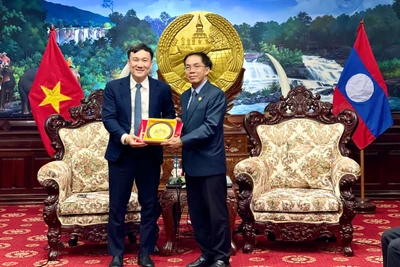 Tặng quà chúc Tết