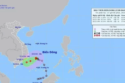 Thời tiết hôm nay 25/12: Bão số 10 suy yếu thành áp thấp nhiệt đới