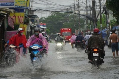 Miền Trung, Nam Bộ tiếp tục mưa dông