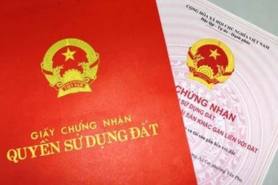 Bình Định thu hồi hơn 300 sổ đỏ cấp sai