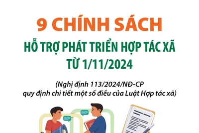 9 chính sách hỗ trợ phát triển hợp tác xã từ 1/11/2024