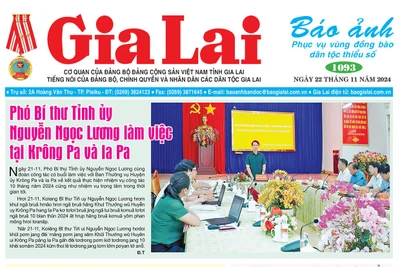 Báo ảnh Gia Lai ngày 22-11-2024 