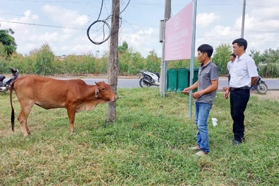 Ia Pa hỗ trợ sinh kế giúp người dân vươn lên