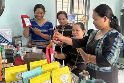 Những buôn làng trên vùng đất nam Tây Nguyên