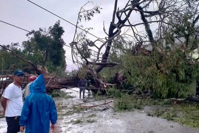 Cận cảnh hậu quả do siêu bão Man-yi gây ra ở Philippines