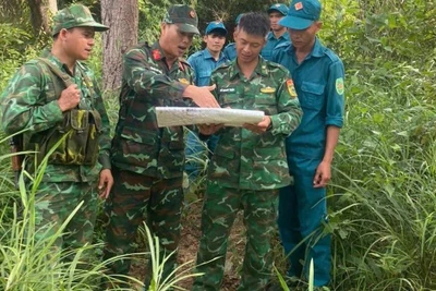 Hàng trăm người vào Vườn quốc gia Yók Đôn tìm máy bay YAK-130