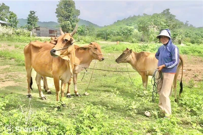 Krông Pa tập trung nguồn lực cho công tác giảm nghèo