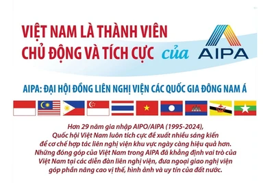 Việt Nam là thành viên chủ động và tích cực của AIPA 