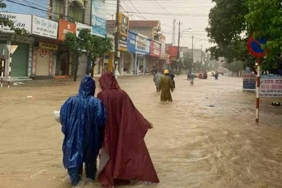 Giúp dân trong bão Trà Mi, một thanh niên xung kích bị nước cuốn mất tích