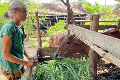 Ia Rbol tranh thủ nguồn vốn chương trình mục tiêu quốc gia để giảm nghèo