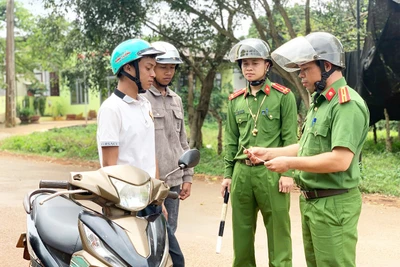 Sử dụng giấy phép lái xe giả: Tiền mất tật mang