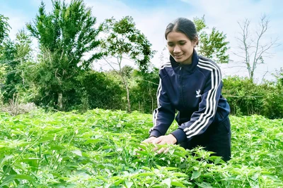 Đak Pơ quan tâm tạo việc làm cho lao động nông thôn