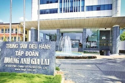 Hoàng Anh Gia Lai hiện ra sao?