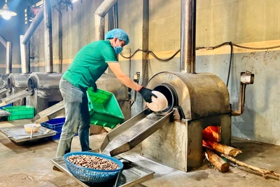 Phương pháp rang thủ công sẽ giữ lại vị ngọt, bùi và vị ngậy đặc trưng mà không loại hạt điều công nghiệp nào sánh bằng. Ảnh: Vũ Thảo
